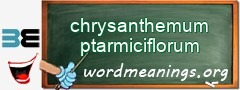 WordMeaning blackboard for chrysanthemum ptarmiciflorum
